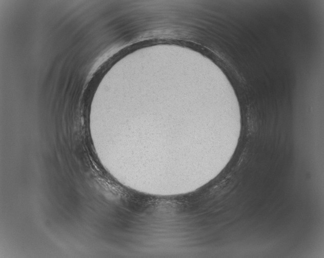 X0000076351070200610201754