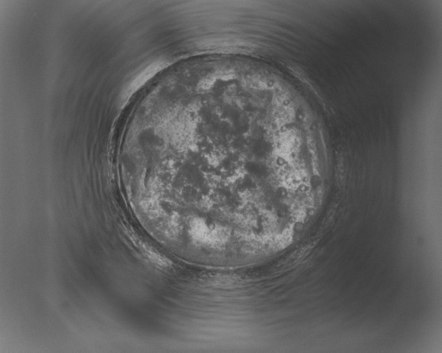 X0000076351071200610201754