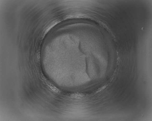 X0000076351073200610201754