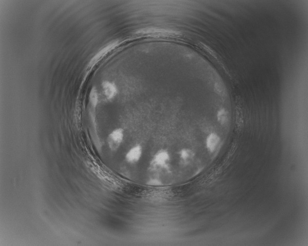 X0000076351074200610201754