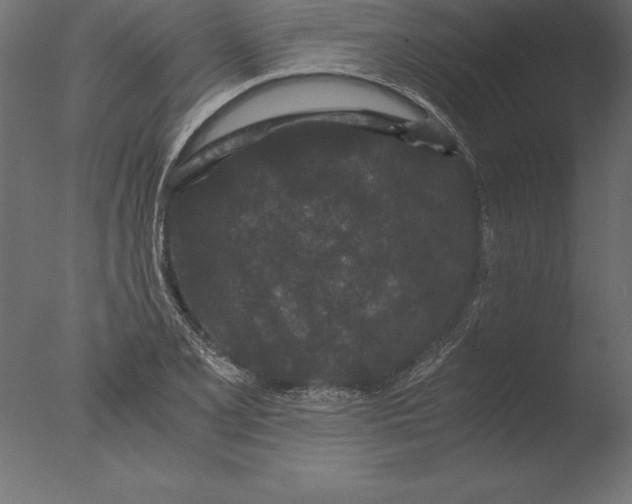 X0000076351077200610201754