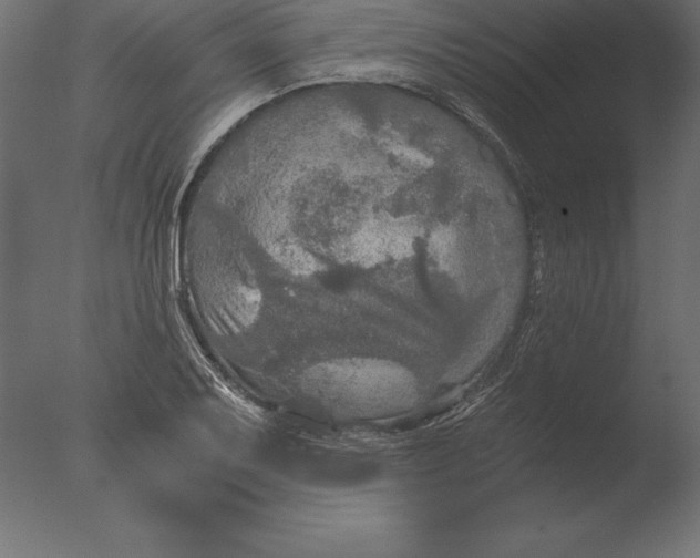 X0000076351079200610201754