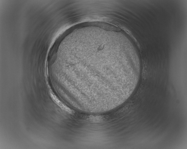 X0000076351080200610201754