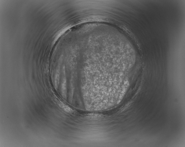 X0000076351081200610201754