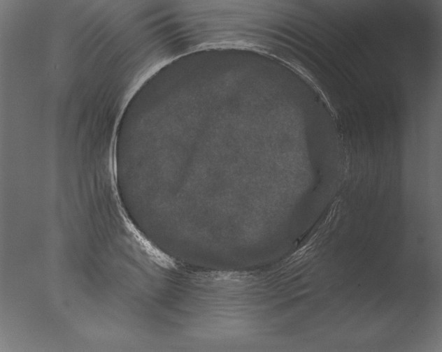 X0000076351084200610201754