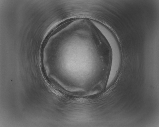 X0000076351085200610201754