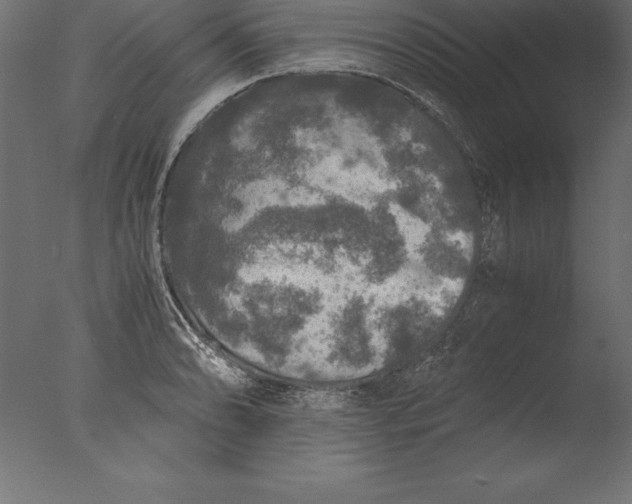 X0000076351086200610201754