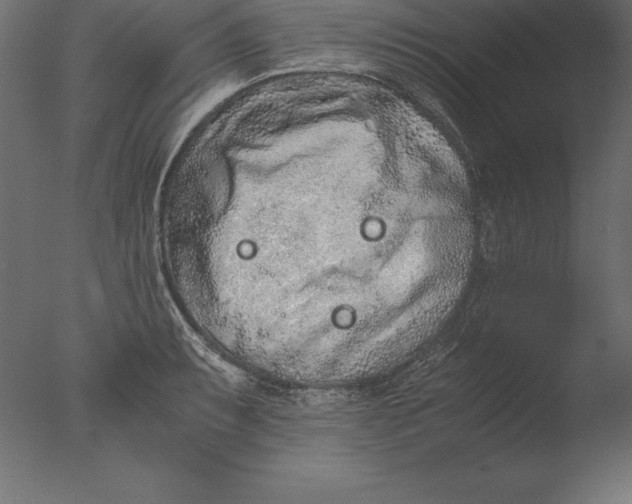 X0000076351087200610201754