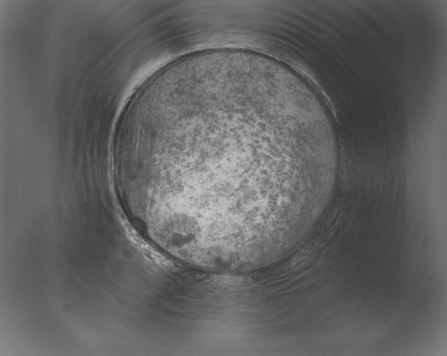 X0000076351088200610201754