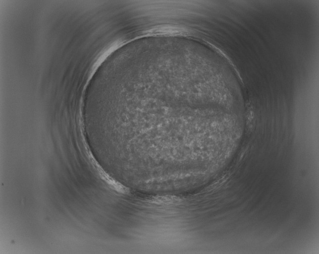 X0000076351091200610201754