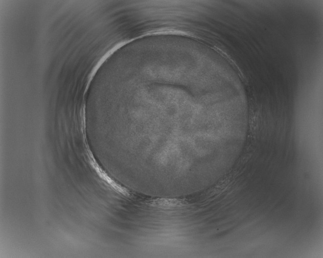 X0000076351092200610201754