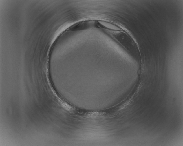 X0000076351093200610201754