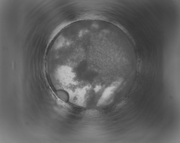 X0000076351094200610201754