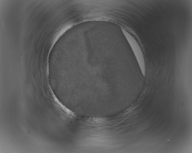 X0000076351095200610201754