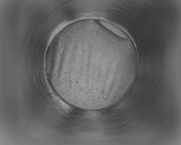 X0000076351096200610201754