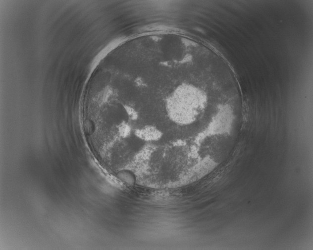 X0000076351098200610201754