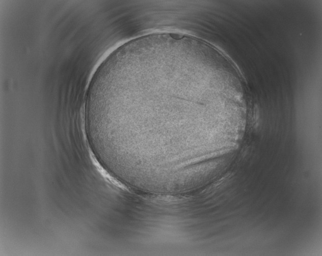 X0000076351100200610201754