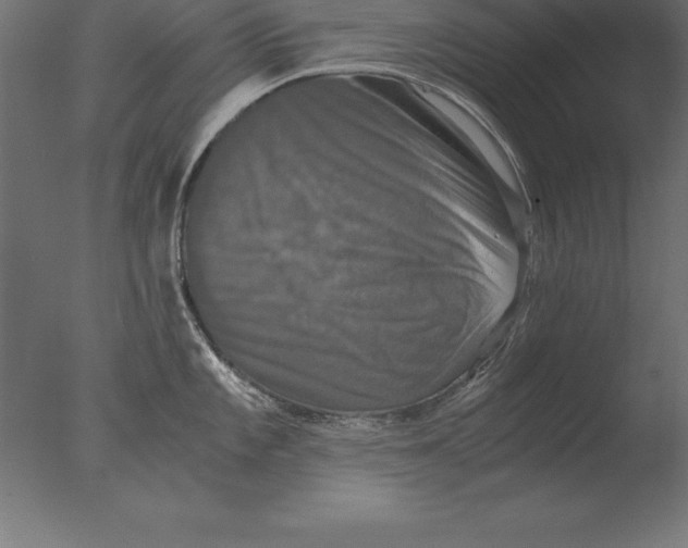 X0000076351101200610201754