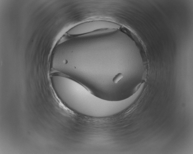 X0000076351102200610201754