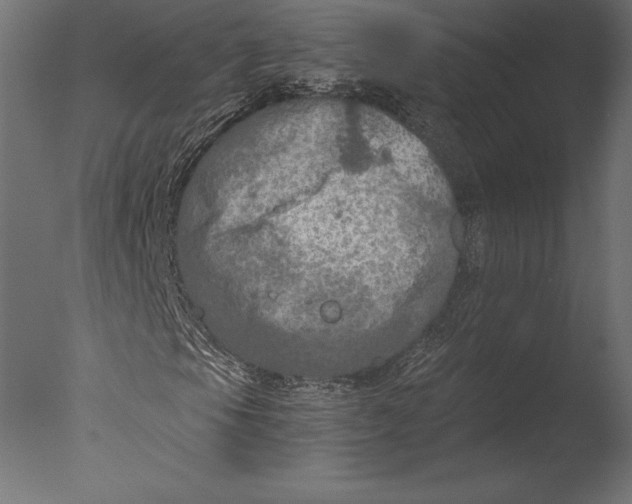 X0000076351105200610201753