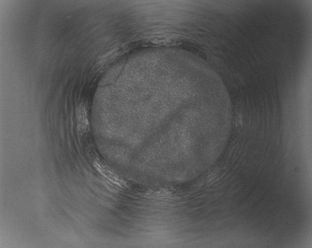 X0000076351106200610201753