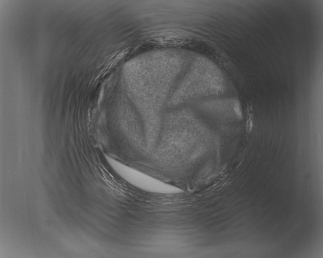 X0000076351108200610201753