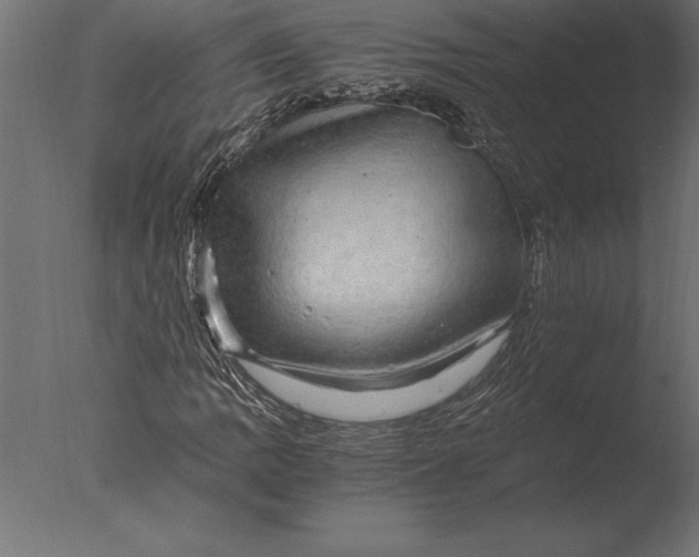 X0000076351109200610201753