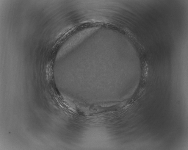 X0000076351110200610201753