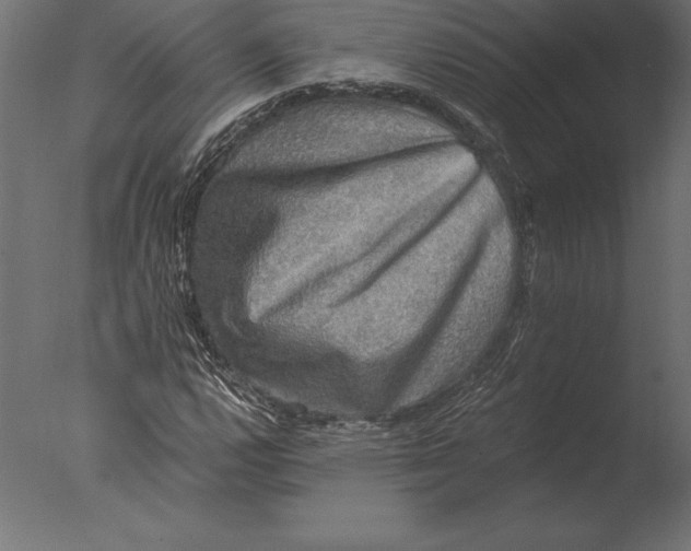 X0000076351112200610201753