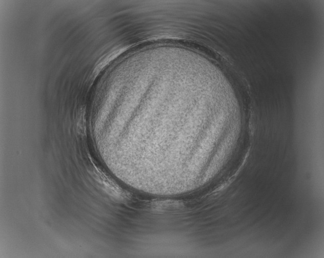 X0000076351113200610201753