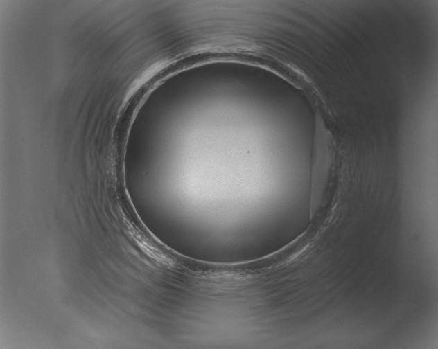 X0000076351114200610201753