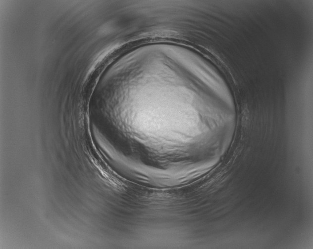 X0000076351115200610201753