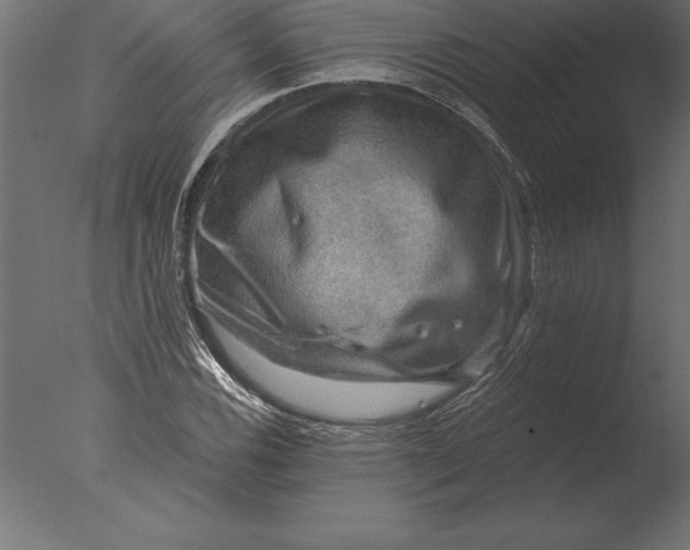 X0000076351116200610201753