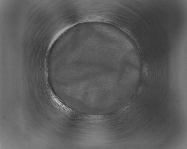 X0000076351120200610201753