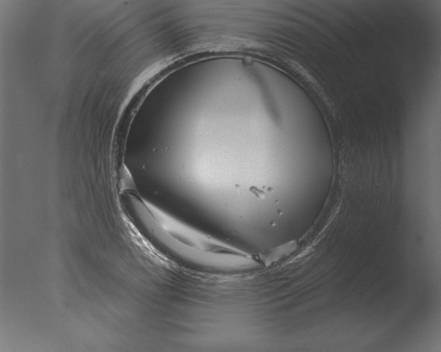 X0000076351122200610201753