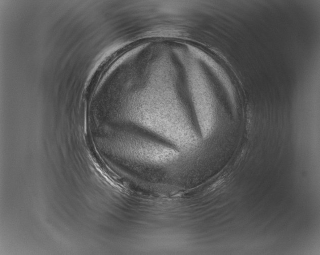 X0000076351123200610201753