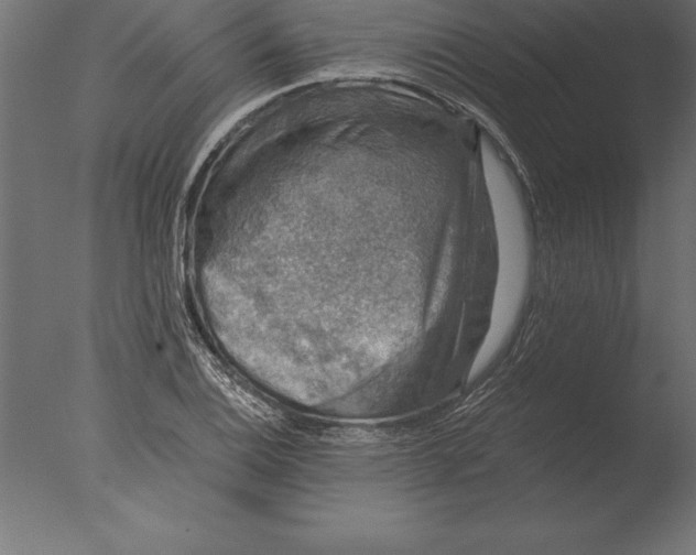 X0000076351124200610201753