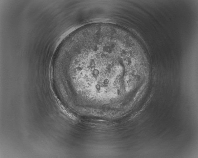 X0000076351125200610201753