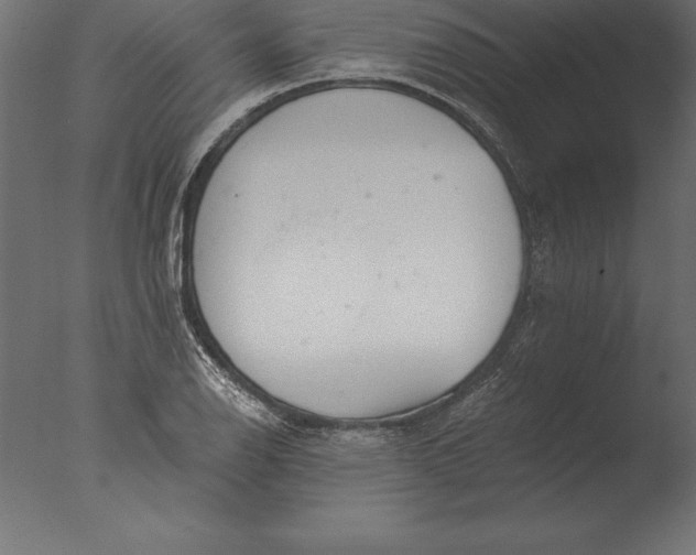 X0000076351126200610201753