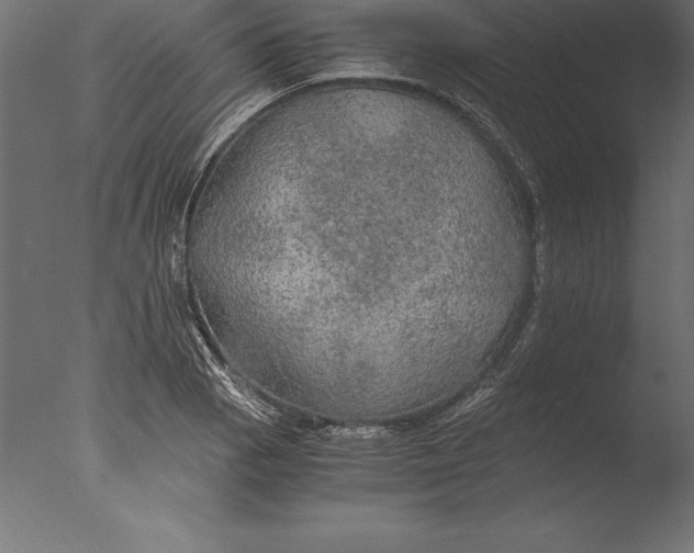 X0000076351129200610201753