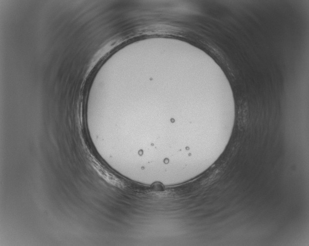 X0000076351130200610201753