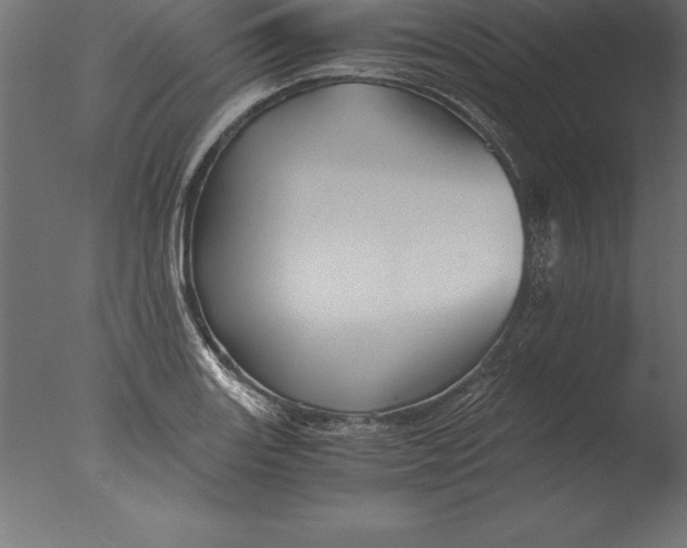 X0000076351131200610201753