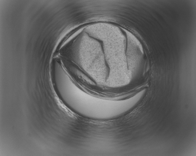 X0000076351132200610201753