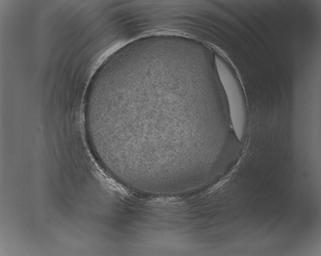 X0000076351133200610201753