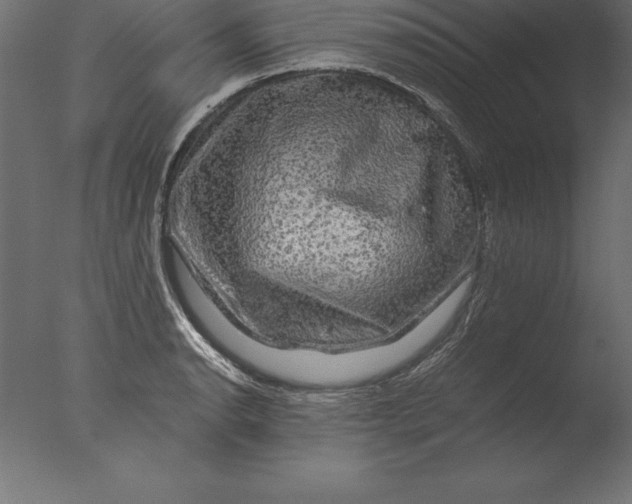 X0000076351134200610201753