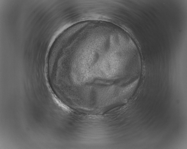 X0000076351136200610201753