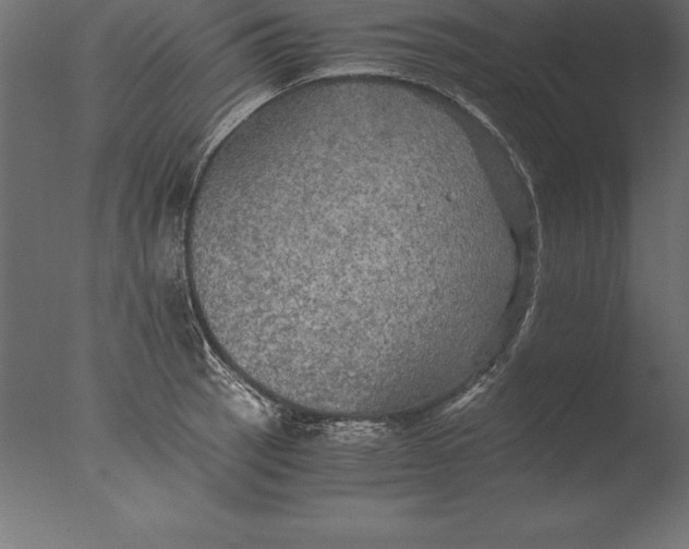 X0000076351137200610201753