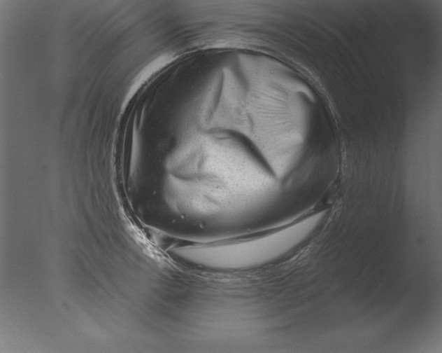 X0000076351138200610201753