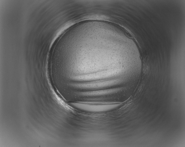 X0000076351139200610201753