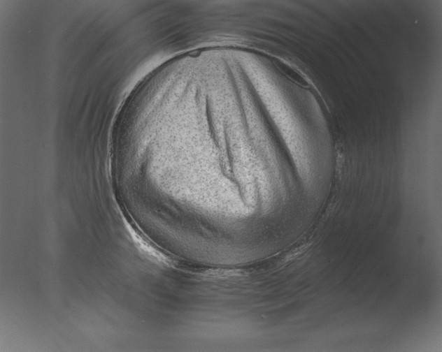 X0000076351143200610201753